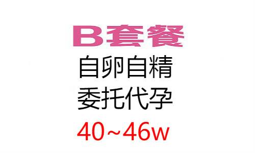 全委托套餐